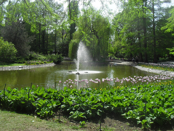 Dunavski park u Novom Sadu, april 2011 17 A.jpg